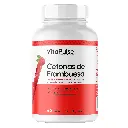 Cetonas Fambruesa